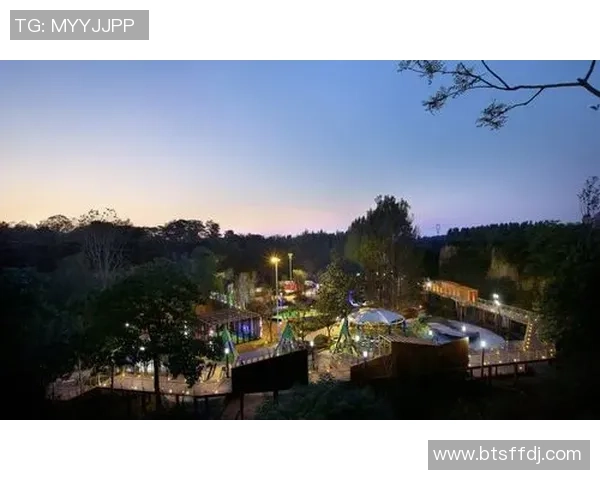 雨花区足球小镇建设进展显著助力地方经济与文化发展新篇章